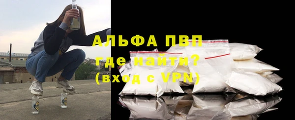 прущие грибы Майский