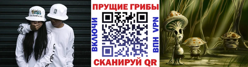 Галлюциногенные грибы ЛСД  Купить где  Энгельс 